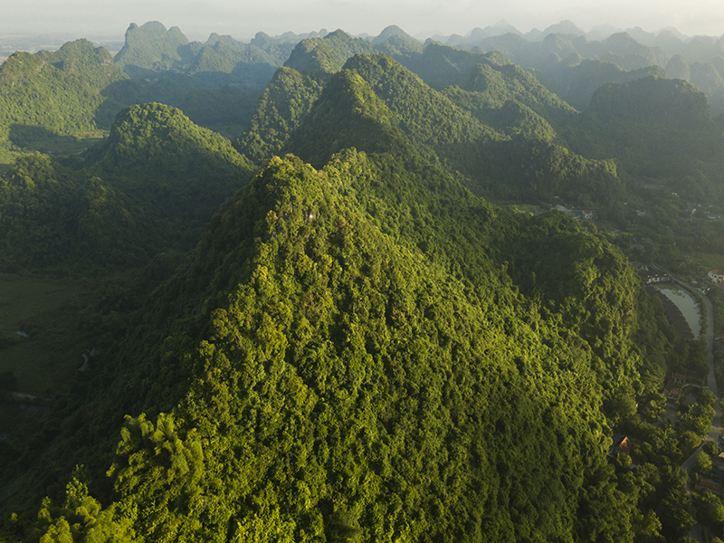 Tam Coc Garden Resort