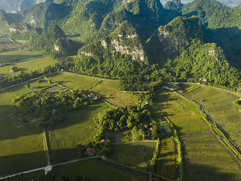 Tam Coc Garden Resort