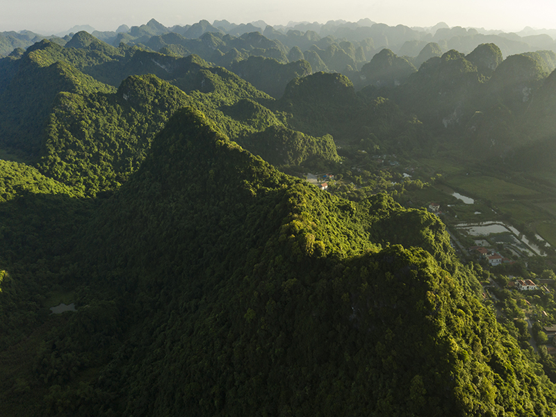 Tam Coc Garden Resort