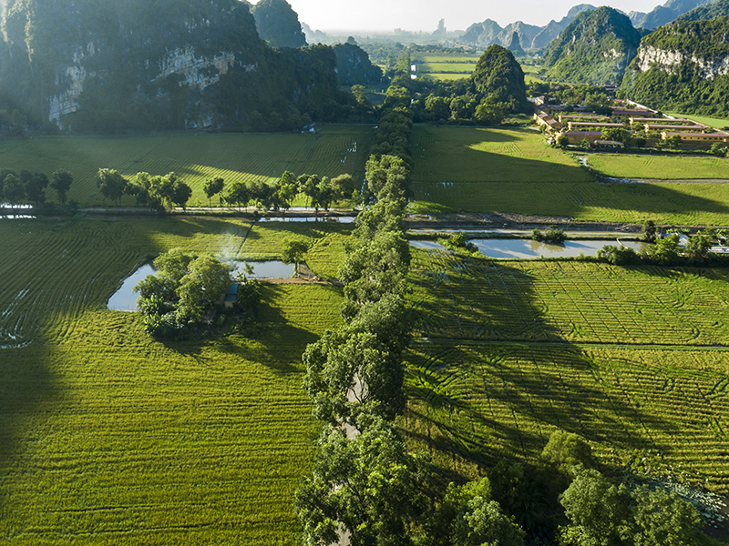 Tam Coc Garden Resort