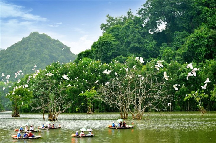 Hàng chục ngàn cánh chim, cò, vạc bay lượn rợp trời