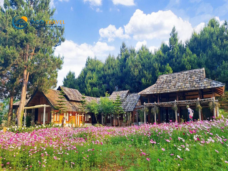 Khách sạn Flamingo Đại Hải