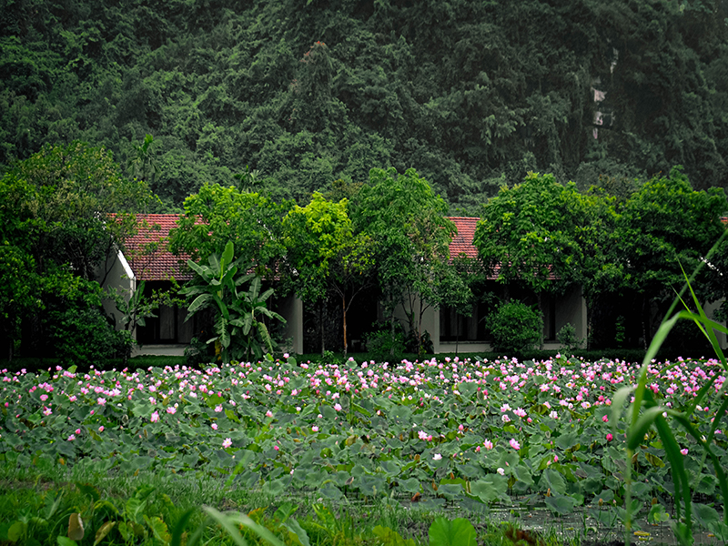 Aravinda Resort Ninh Bình