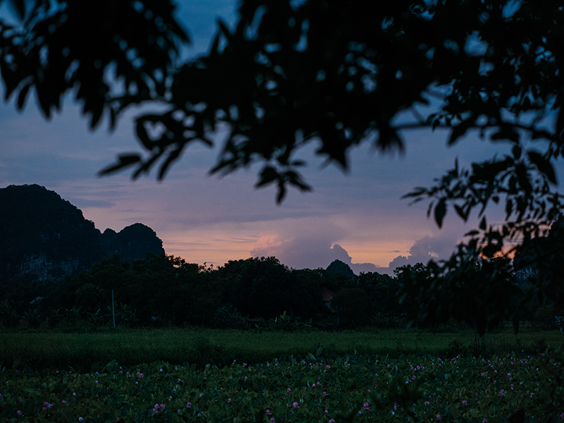 Aravinda Resort Ninh Bình