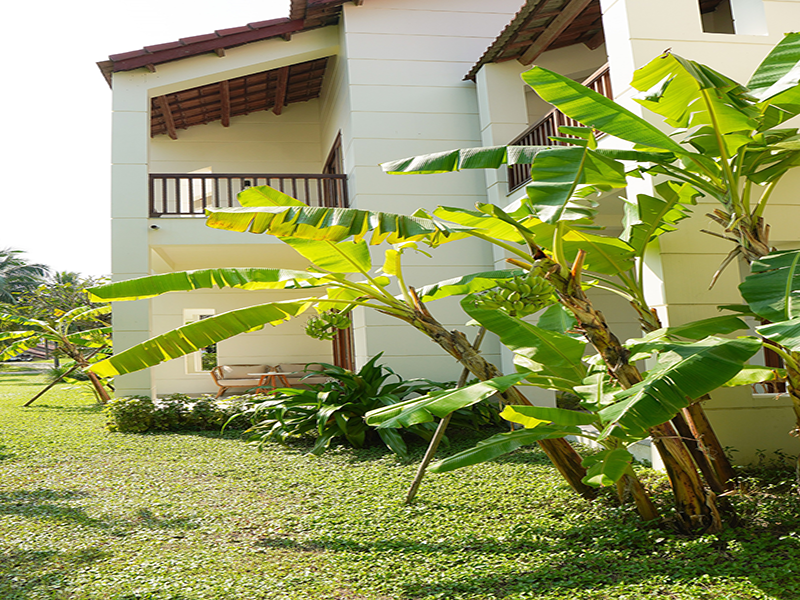 Pax Ana Doc Let Resort & Spa