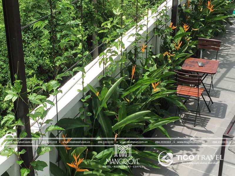 Mangrove Hotel Cần Giờ