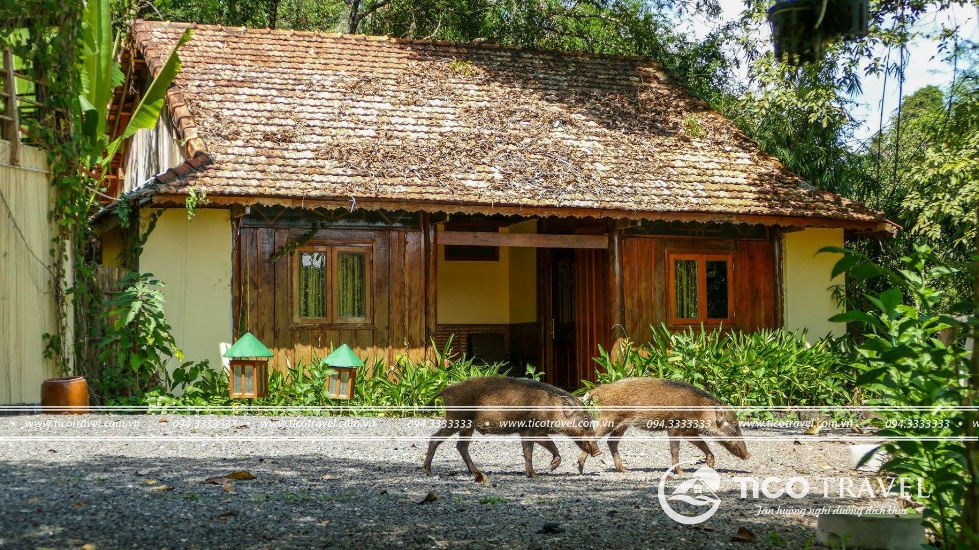 Forest Floor Lodge