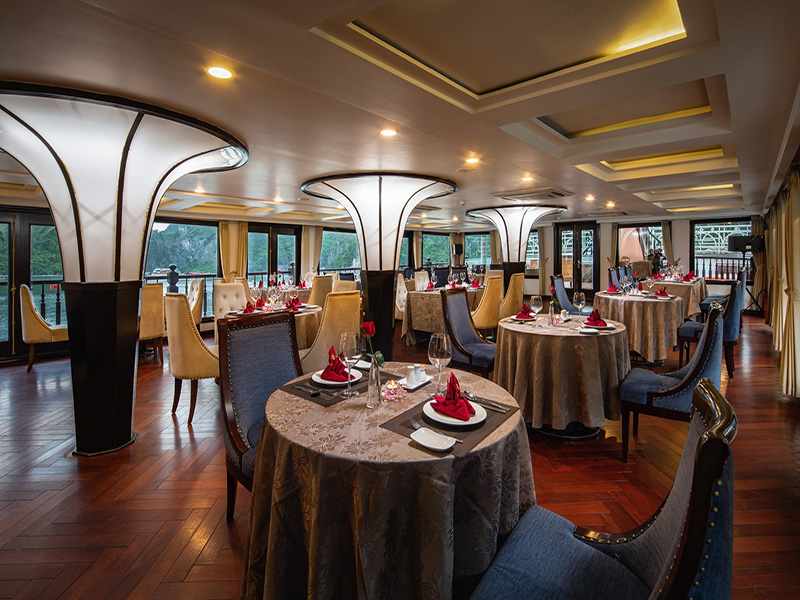 Alisa Premier Cruise