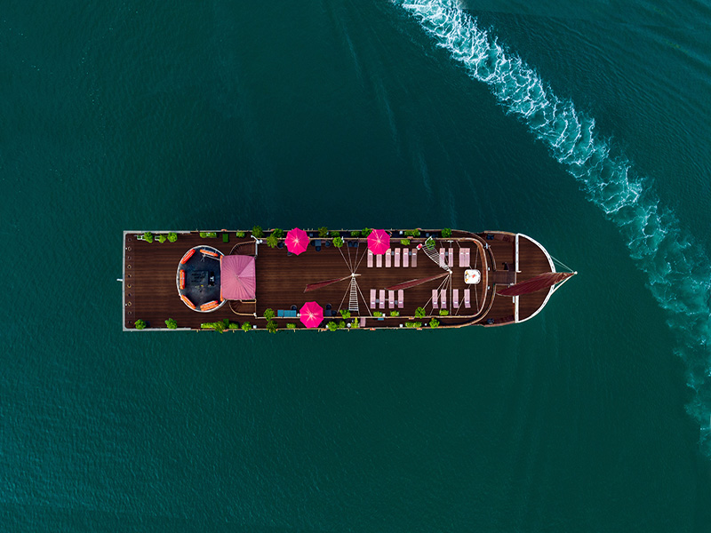 Alisa Premier Cruise