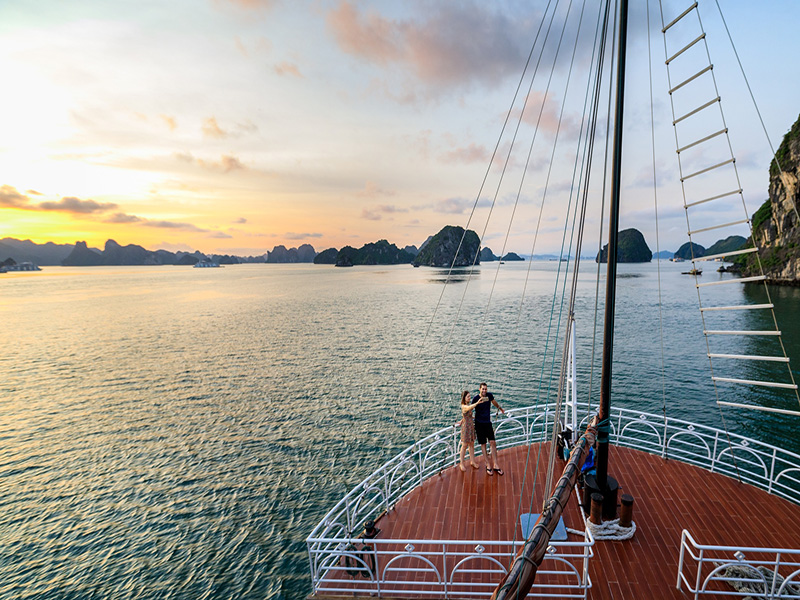 Alisa Premier Cruise