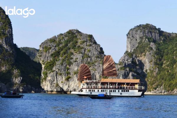 Khách sạn Flamingo Đại Hải