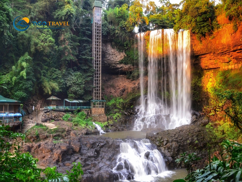 Dambri Bảo Lộc Resort