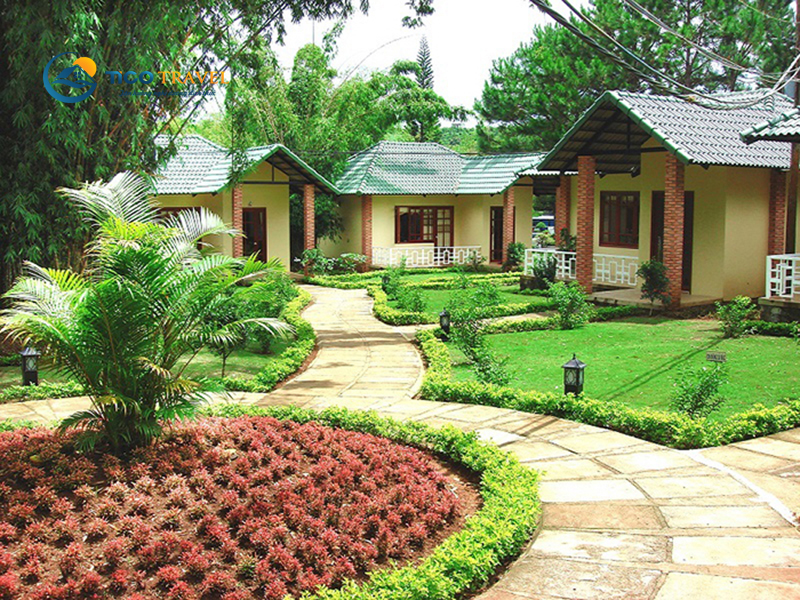 Dambri Bảo Lộc Resort