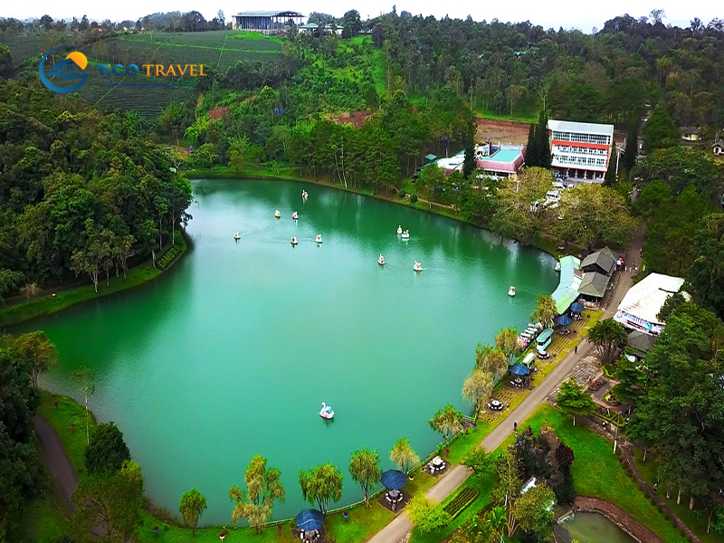 Dambri Bảo Lộc Resort