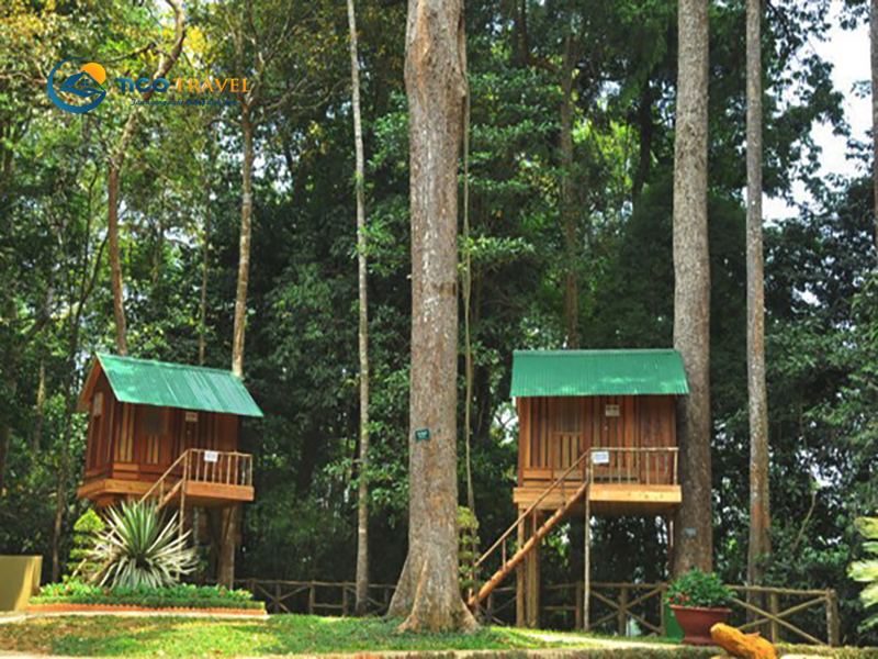 Dambri Bảo Lộc Resort