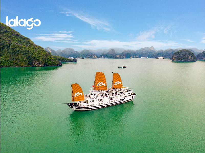 Khách sạn Flamingo Đại Hải