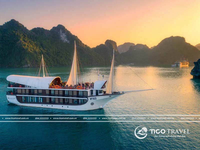 Khách sạn Flamingo Đại Hải
