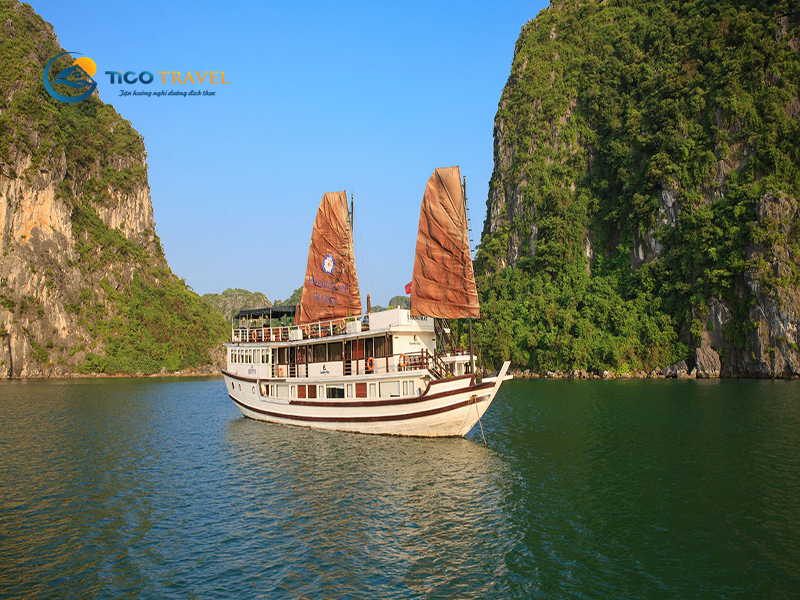Garden Bay Legend Cruise