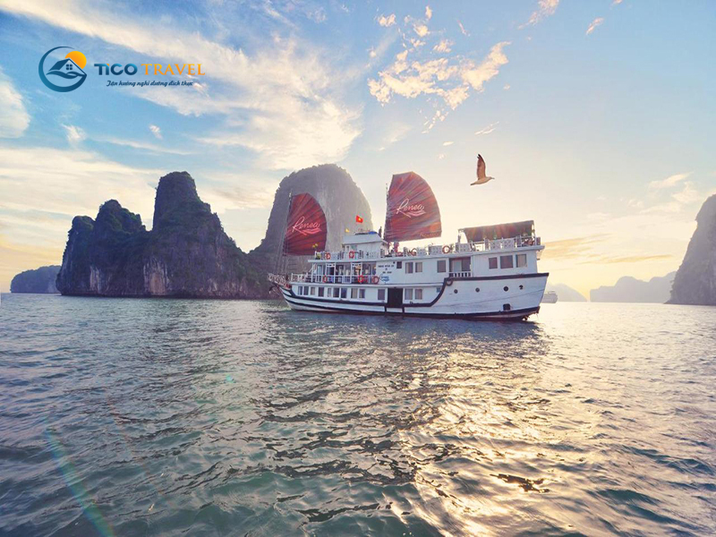 Khách sạn Flamingo Đại Hải