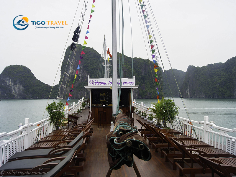 Viola Cruise Halong