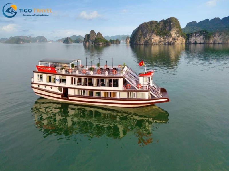 Cozy Bay Cruise