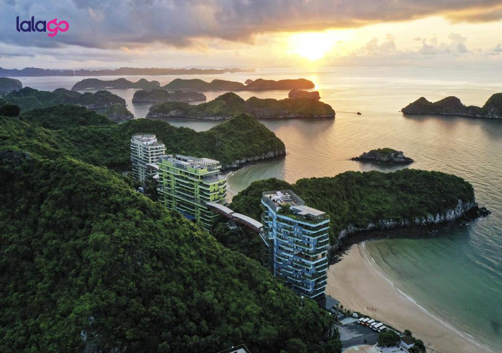 Khách sạn Flamingo Đại Hải