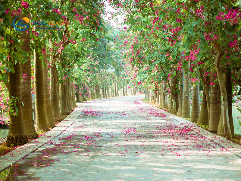 Sỏi Resort In Farm