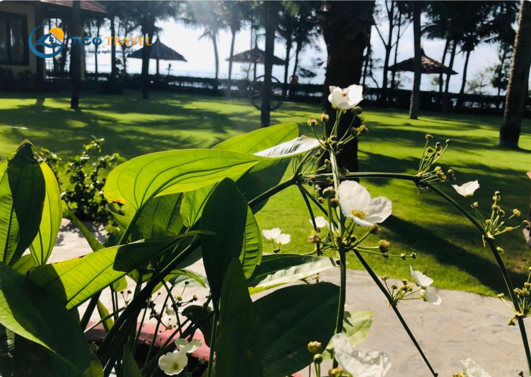 Sunny Beach Resort and Spa Phan Thiết