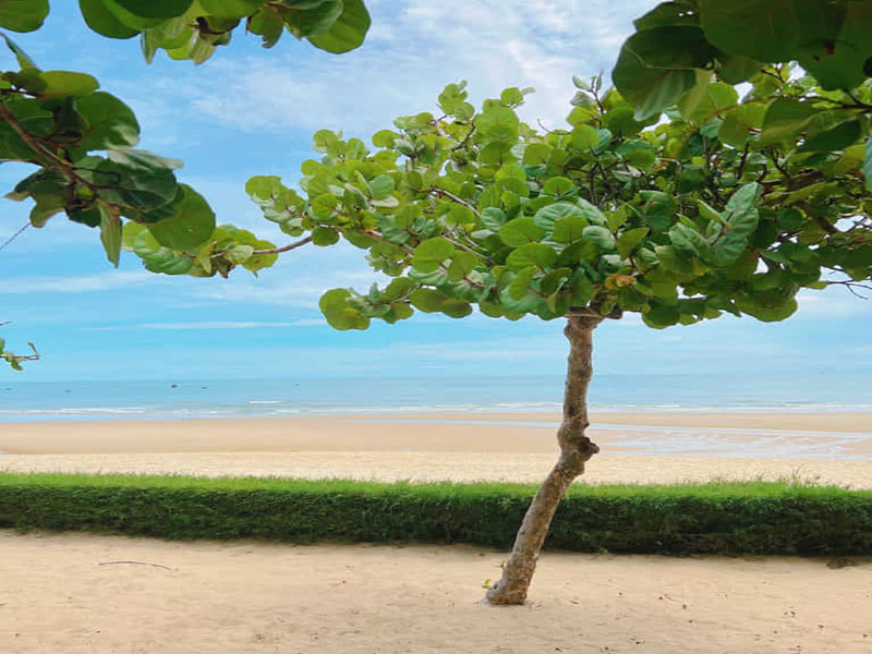Carmelina Beach Resort