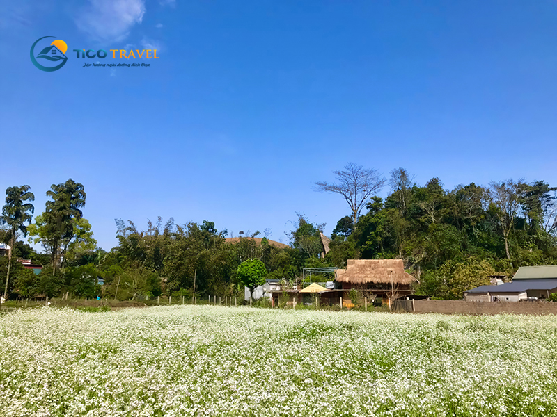 Khách sạn Flamingo Đại Hải