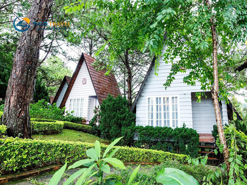 Khách sạn Flamingo Đại Hải