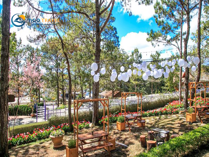 Mộng Mơ Resort Đà Lạt