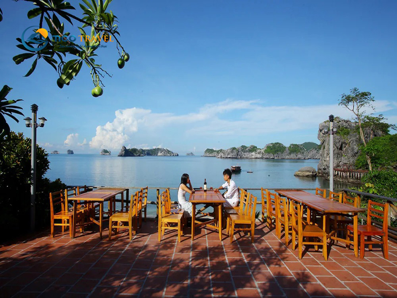 Monkey Island Resort