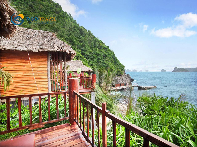 Monkey Island Resort