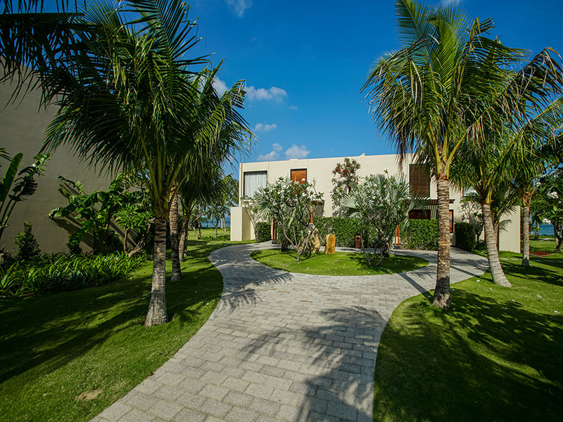 Phòng Deluxe 1 người