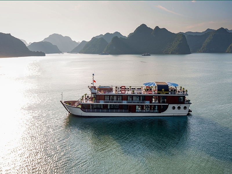 Orchid Premium Cruise