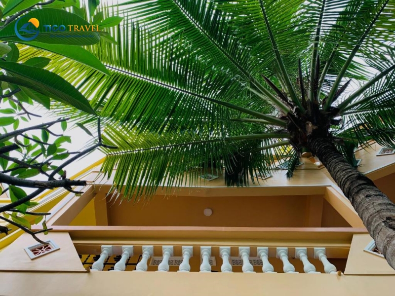 Khách sạn Flamingo Đại Hải