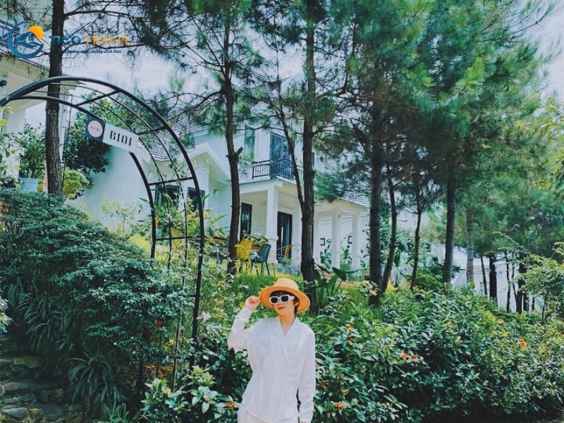 Khách sạn Flamingo Đại Hải