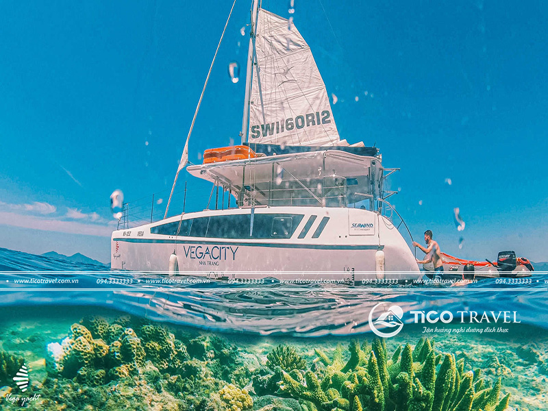 Khách sạn Flamingo Đại Hải