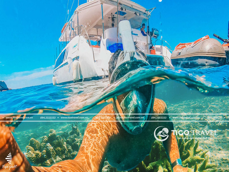 Khách sạn Flamingo Đại Hải