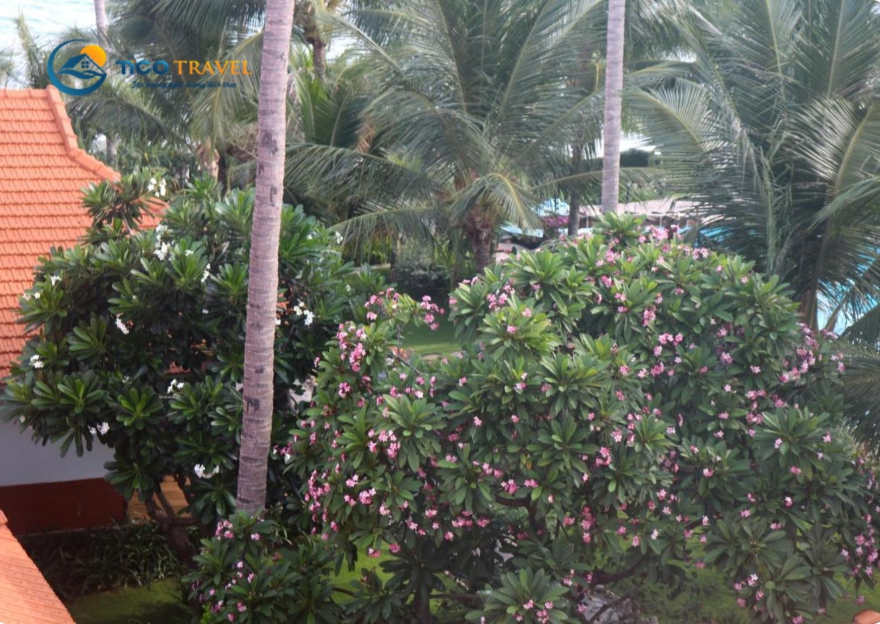 Ravenala Boutique Resort Phan Thiết