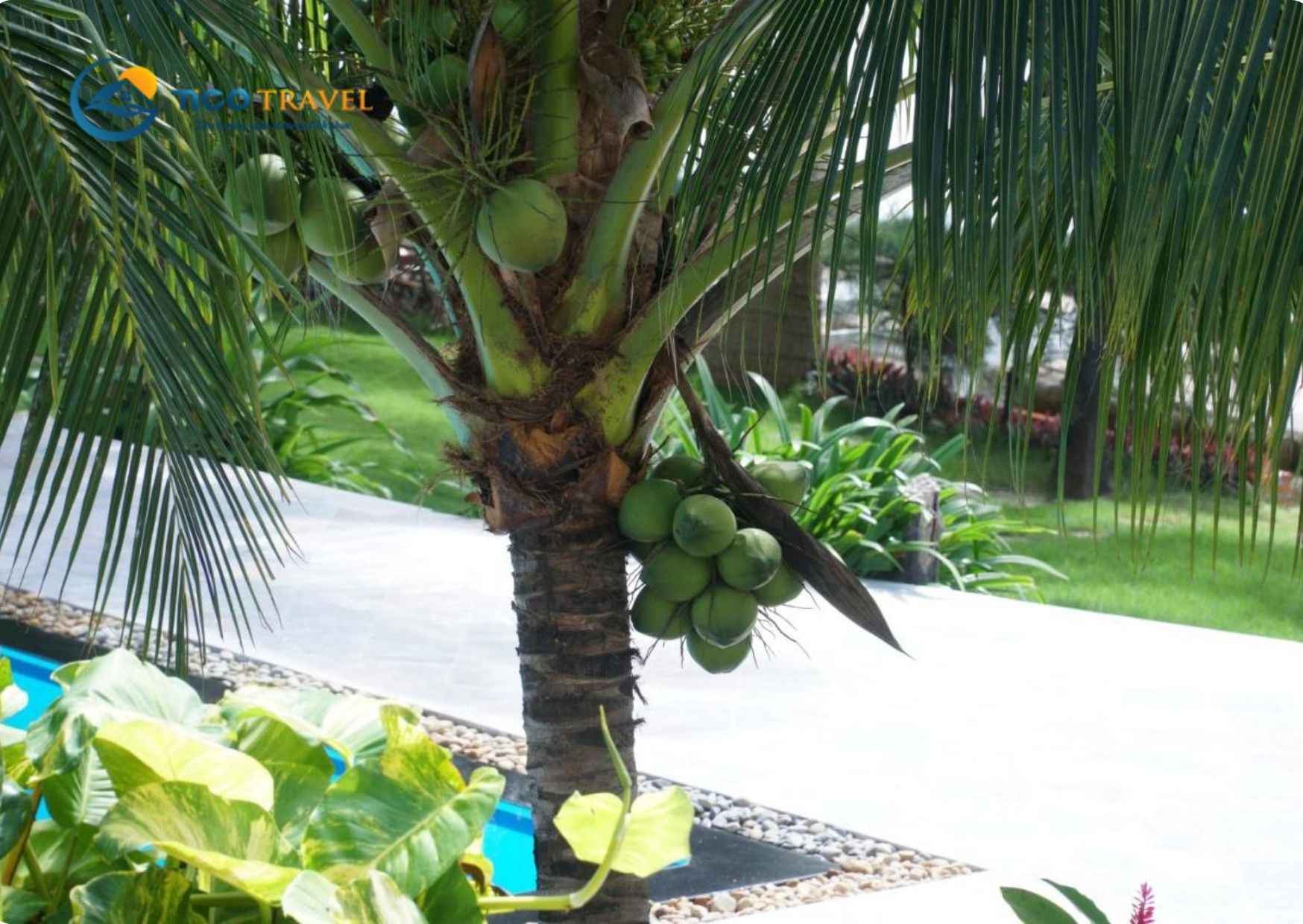 Ravenala Boutique Resort Phan Thiết