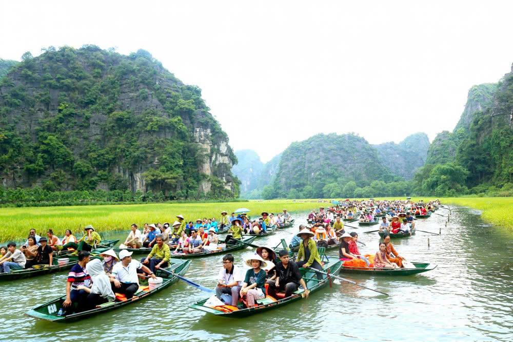 Phù hợp cho nhiều thể loại du khách để đi nghỉ dưỡng và khám phá xung quanh