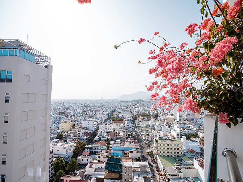 Khách sạn Flamingo Đại Hải