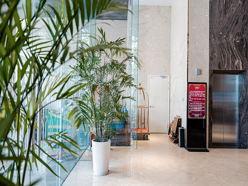 Lemore Hotel Nha Trang
