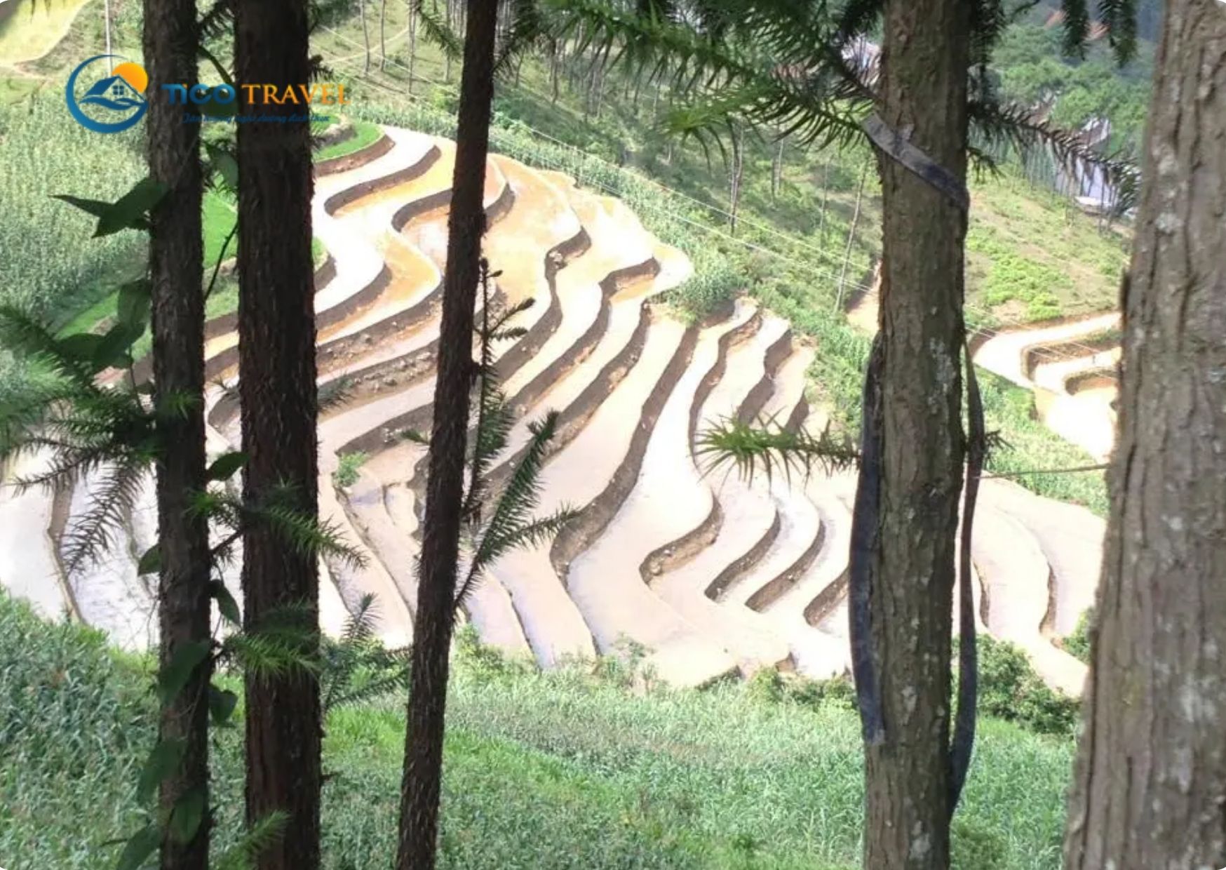 Scenery Sapa Hotel