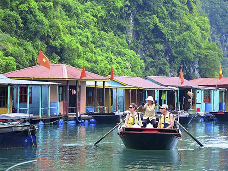 Aspira Cruises