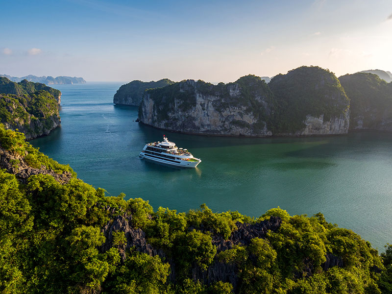 Stellar of the Seas Cruise