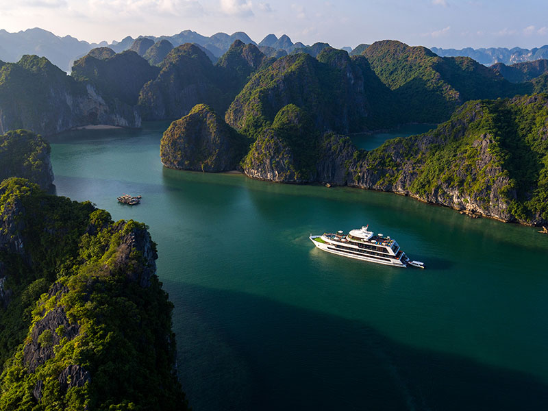 Stellar of the Seas Cruise