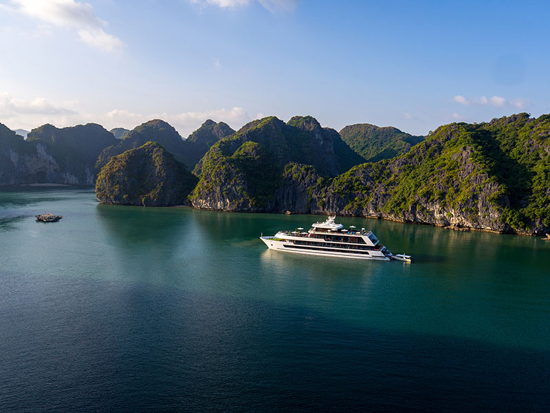 Stellar of the Seas Cruise